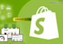 fix shopify store design and commercial advert  website ar filter